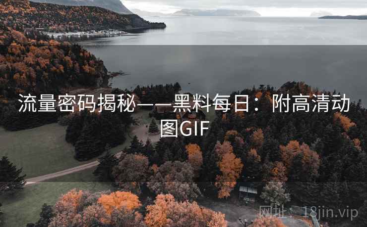 流量密码揭秘——黑料每日：附高清动图GIF